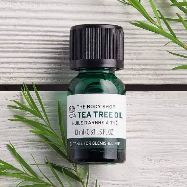 Tinh dầu Tea Tree Oil chiết xuất từ tràm trà
