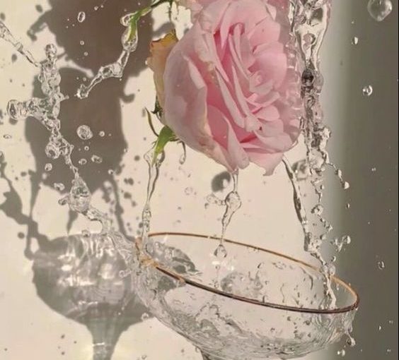 Bật mí cách dùng nước hoa hồng sao cho hiệu quả