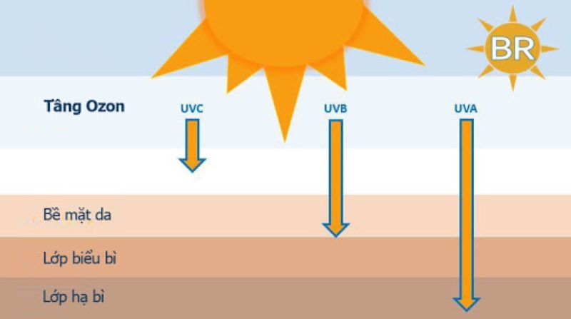 Sự khác nhau giữa tia UVB và UVA