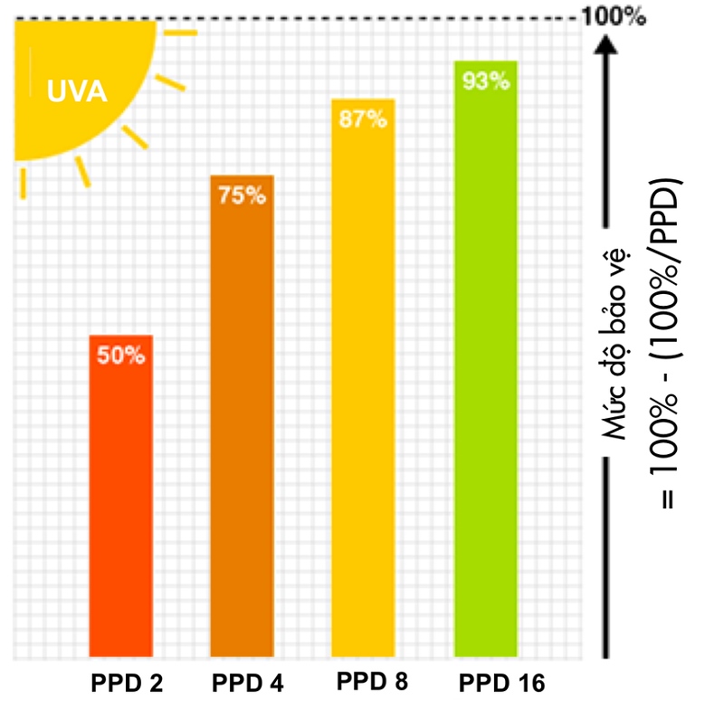 Khả năng bảo vệ của chỉ số PPD trong kem chống nắng