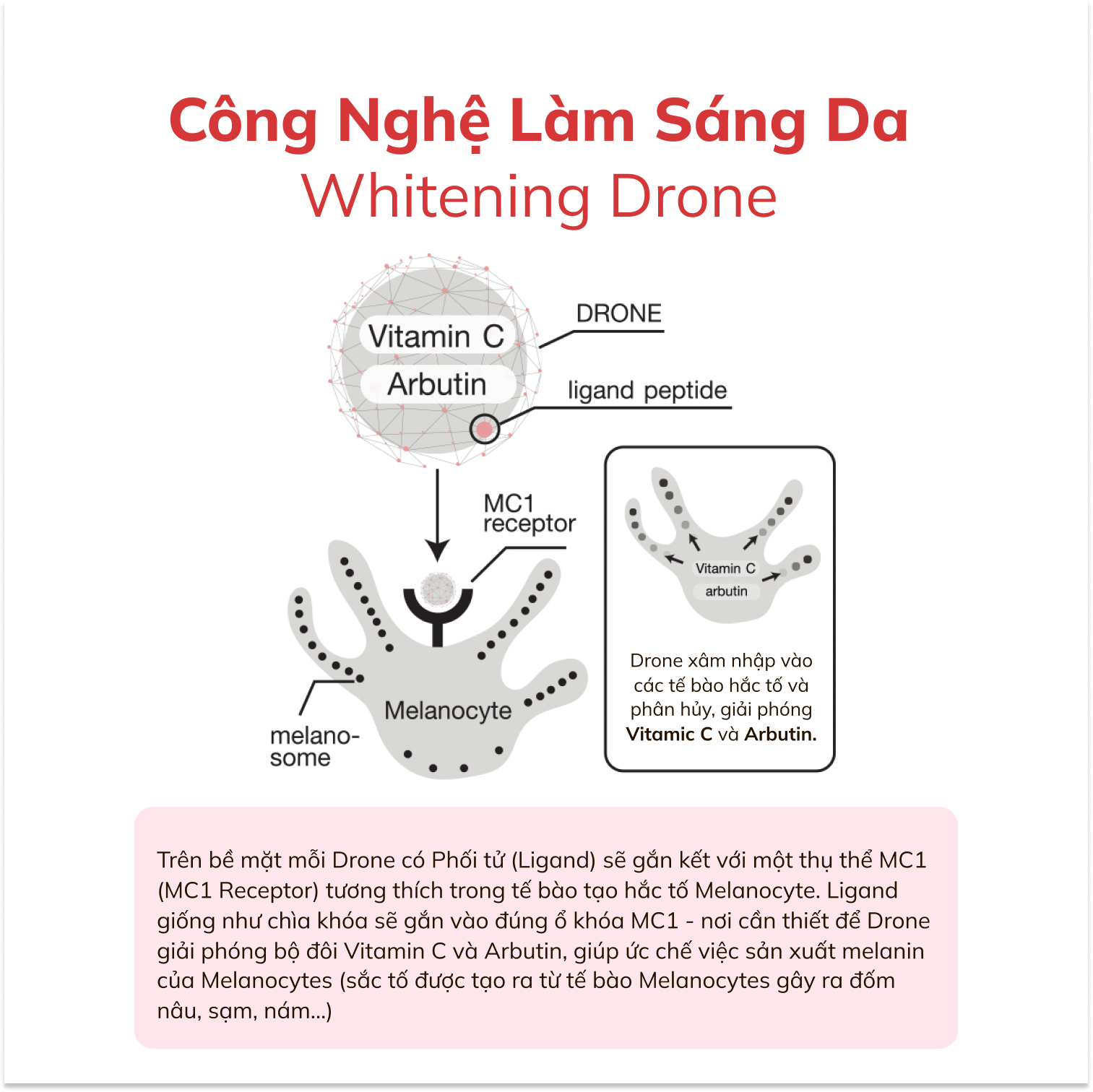 Công nghệ Whitening Drone