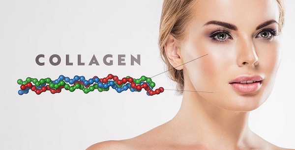 Tác dụng của collagen là gì?