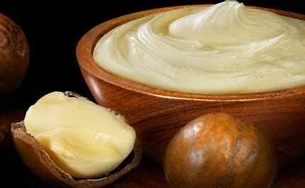Shea butter còn được gọi là Bơ hạt mỡ - Chất vàng trong dưỡng ẩm da