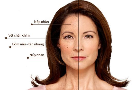 Collagen có nhiều công dụng đối với làn da